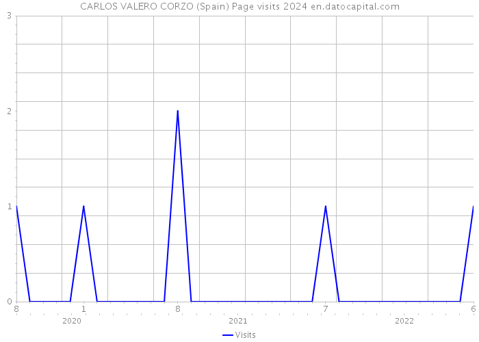 CARLOS VALERO CORZO (Spain) Page visits 2024 