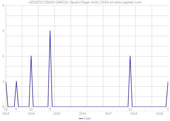 ADOLFO CIDAD GARCIA (Spain) Page visits 2024 