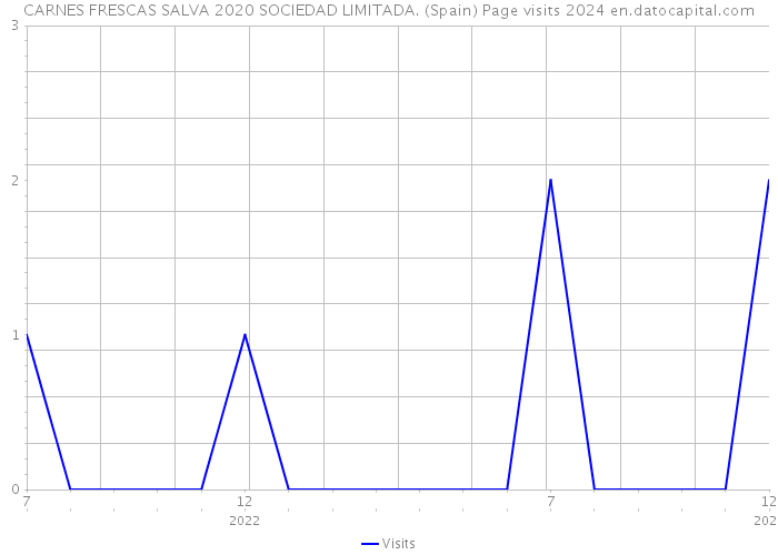 CARNES FRESCAS SALVA 2020 SOCIEDAD LIMITADA. (Spain) Page visits 2024 