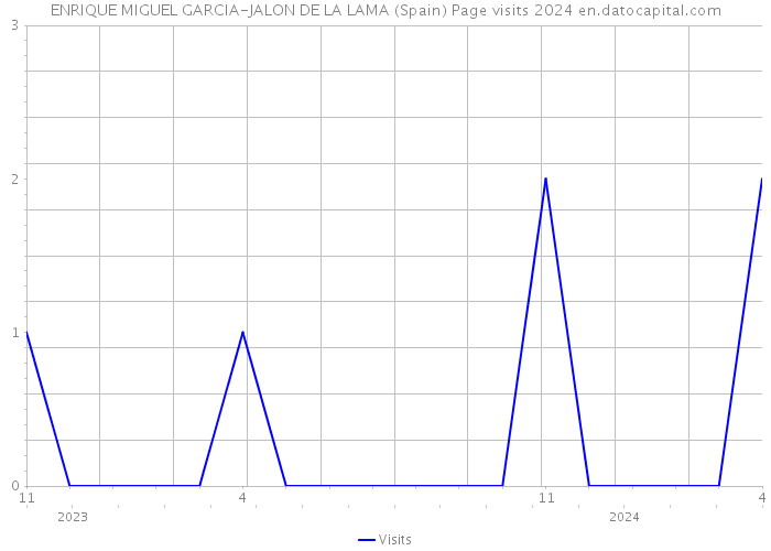 ENRIQUE MIGUEL GARCIA-JALON DE LA LAMA (Spain) Page visits 2024 