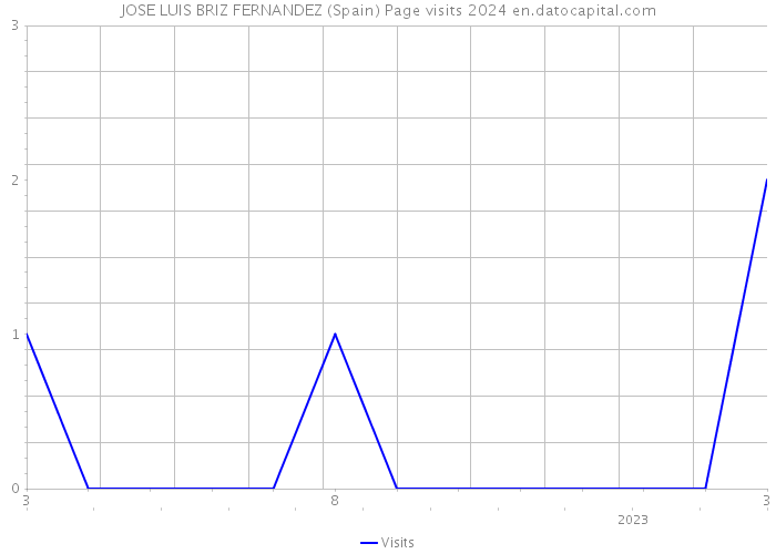 JOSE LUIS BRIZ FERNANDEZ (Spain) Page visits 2024 