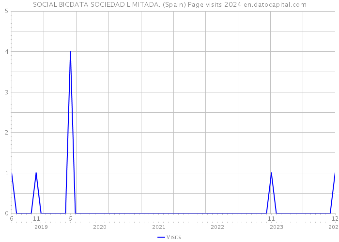 SOCIAL BIGDATA SOCIEDAD LIMITADA. (Spain) Page visits 2024 
