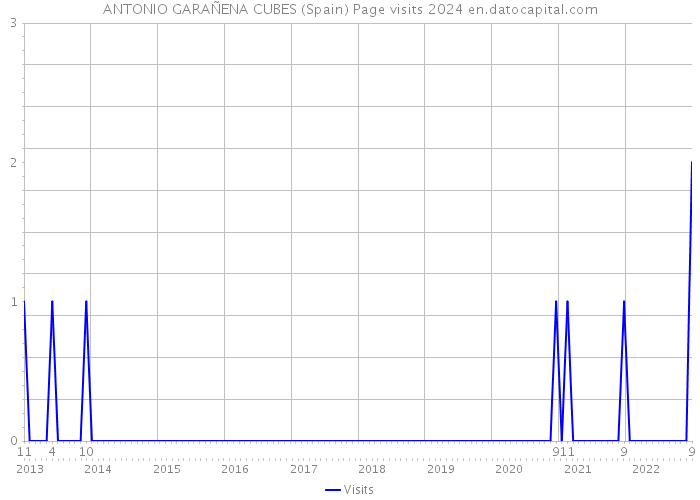 ANTONIO GARAÑENA CUBES (Spain) Page visits 2024 