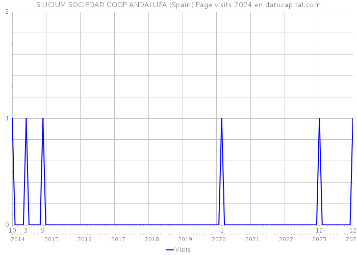 SILICIUM SOCIEDAD COOP ANDALUZA (Spain) Page visits 2024 