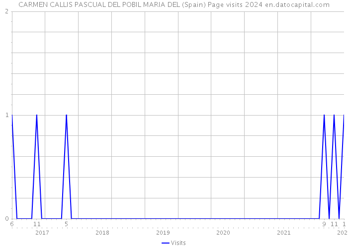 CARMEN CALLIS PASCUAL DEL POBIL MARIA DEL (Spain) Page visits 2024 