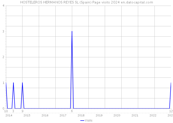 HOSTELEROS HERMANOS REYES SL (Spain) Page visits 2024 