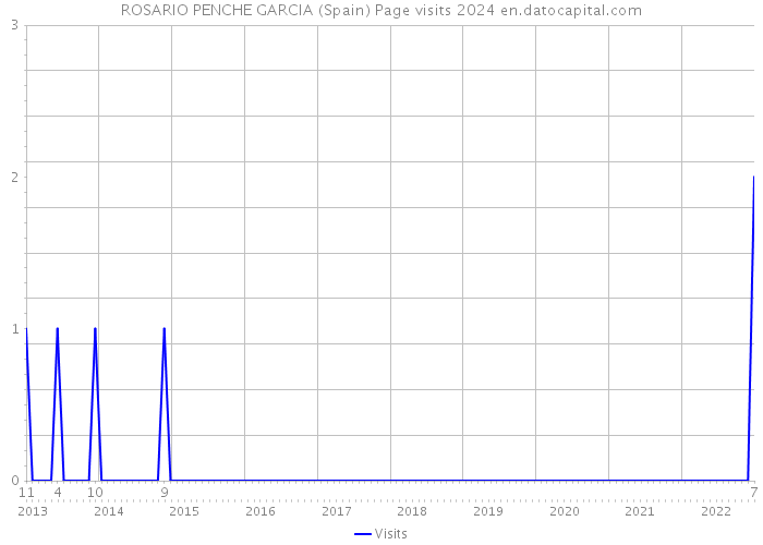 ROSARIO PENCHE GARCIA (Spain) Page visits 2024 