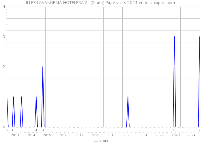 ILLES LAVANDERIA HOTELERA SL (Spain) Page visits 2024 