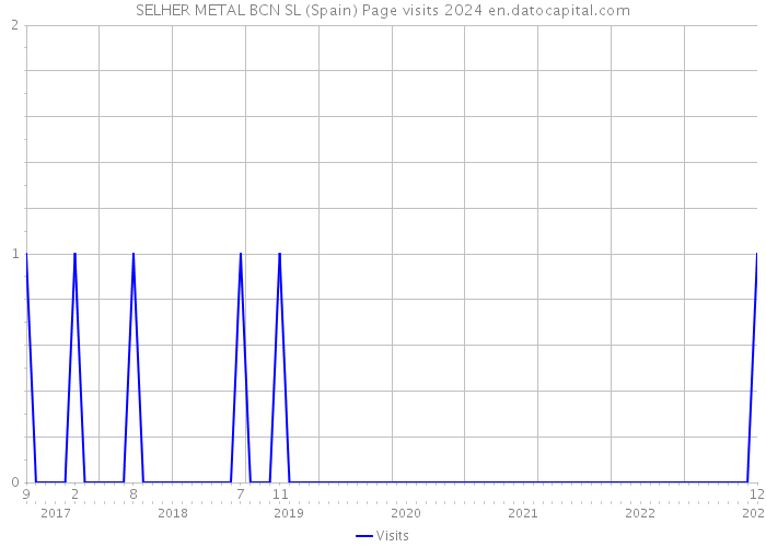 SELHER METAL BCN SL (Spain) Page visits 2024 