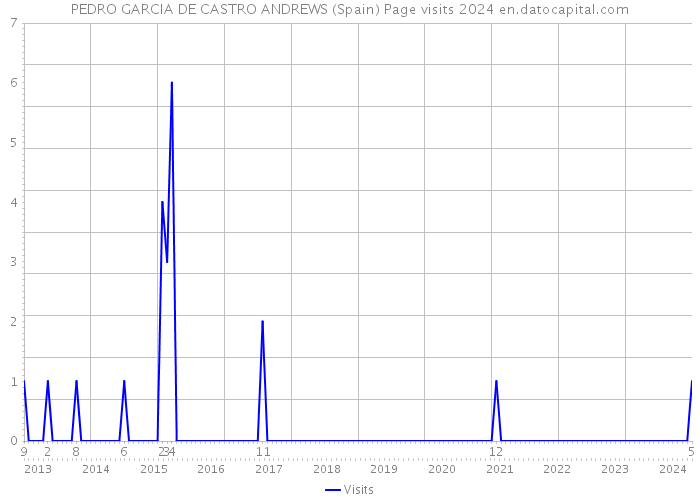 PEDRO GARCIA DE CASTRO ANDREWS (Spain) Page visits 2024 