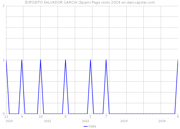 EXPOSITO SALVADOR GARCIA (Spain) Page visits 2024 