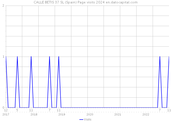 CALLE BETIS 37 SL (Spain) Page visits 2024 