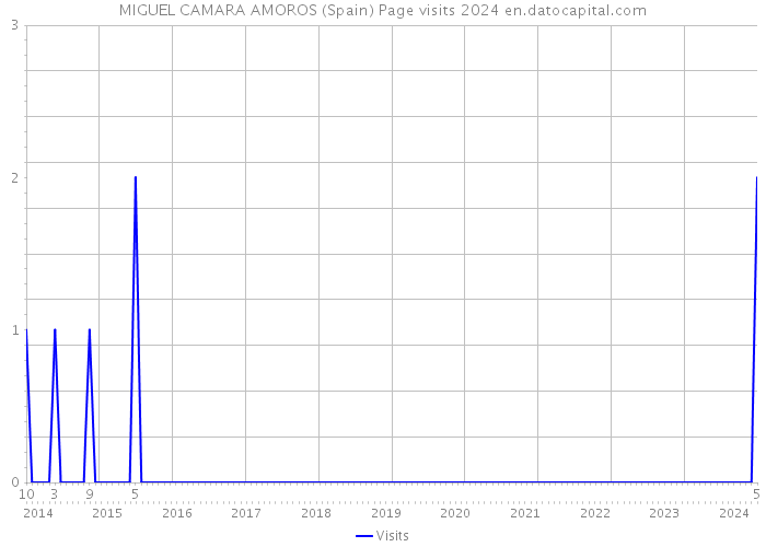 MIGUEL CAMARA AMOROS (Spain) Page visits 2024 