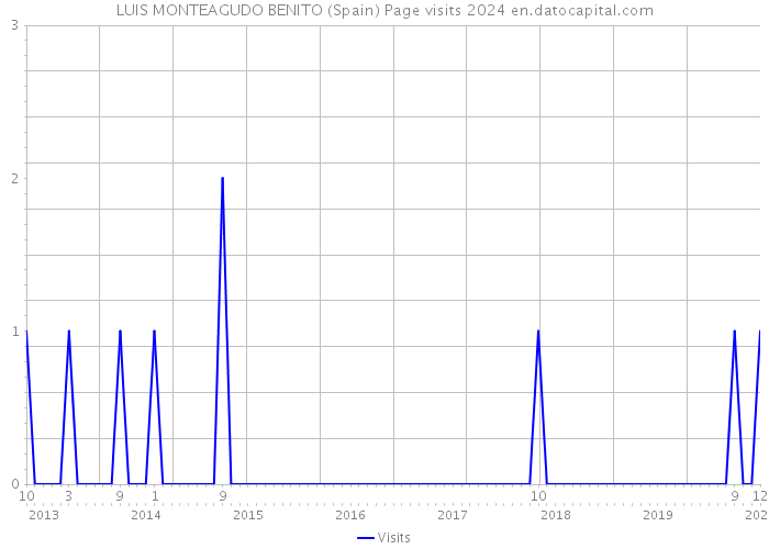 LUIS MONTEAGUDO BENITO (Spain) Page visits 2024 