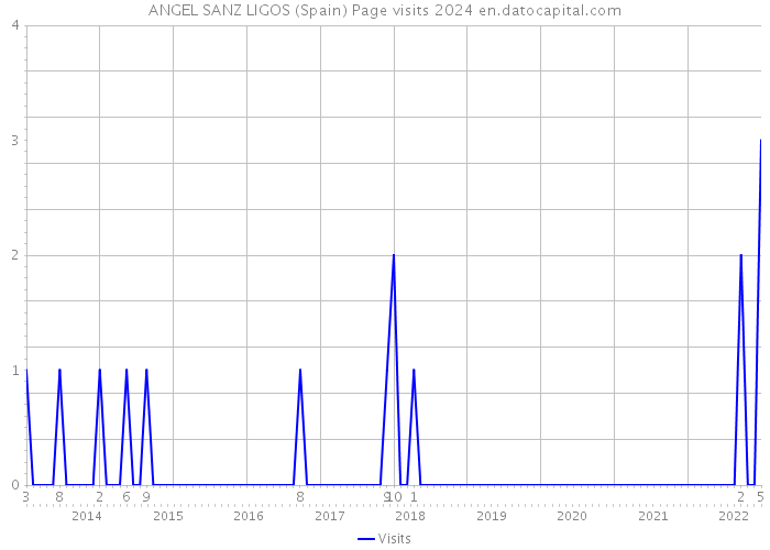 ANGEL SANZ LIGOS (Spain) Page visits 2024 