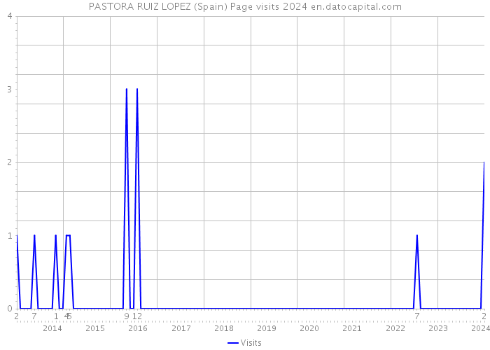 PASTORA RUIZ LOPEZ (Spain) Page visits 2024 