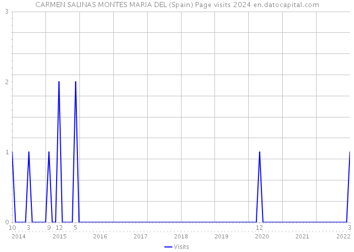 CARMEN SALINAS MONTES MARIA DEL (Spain) Page visits 2024 