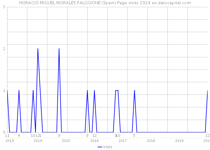 HORACIO MIGUEL MORALES FALGGIONE (Spain) Page visits 2024 