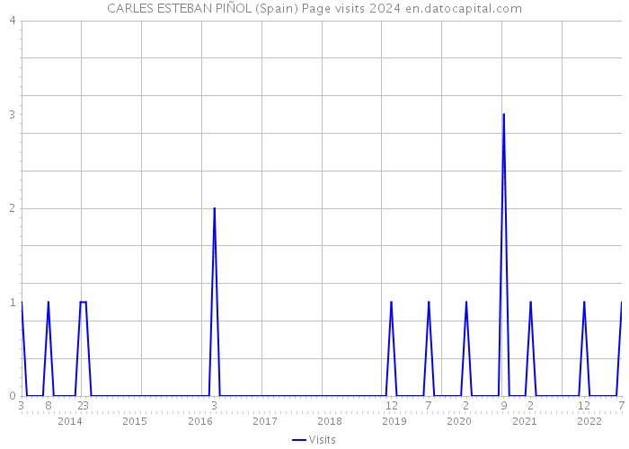 CARLES ESTEBAN PIÑOL (Spain) Page visits 2024 