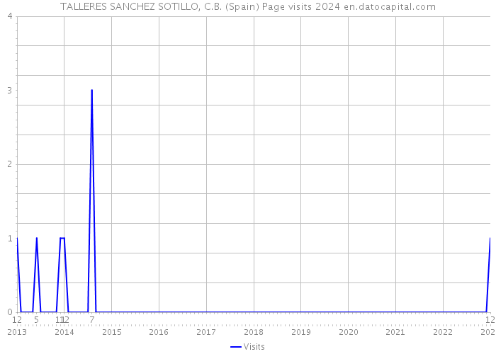 TALLERES SANCHEZ SOTILLO, C.B. (Spain) Page visits 2024 