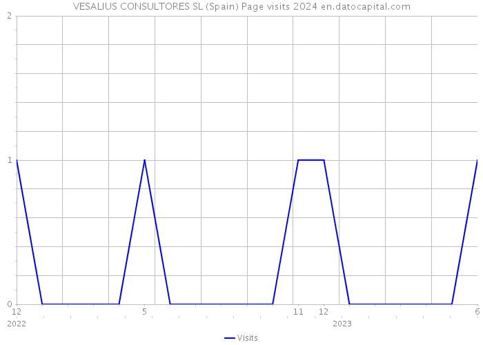 VESALIUS CONSULTORES SL (Spain) Page visits 2024 
