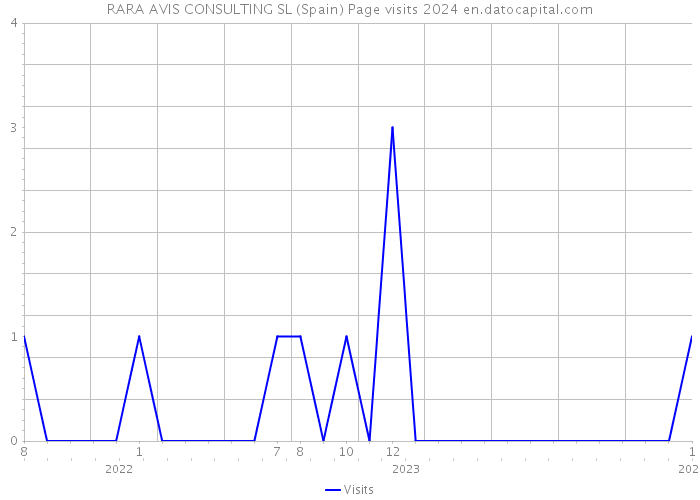 RARA AVIS CONSULTING SL (Spain) Page visits 2024 