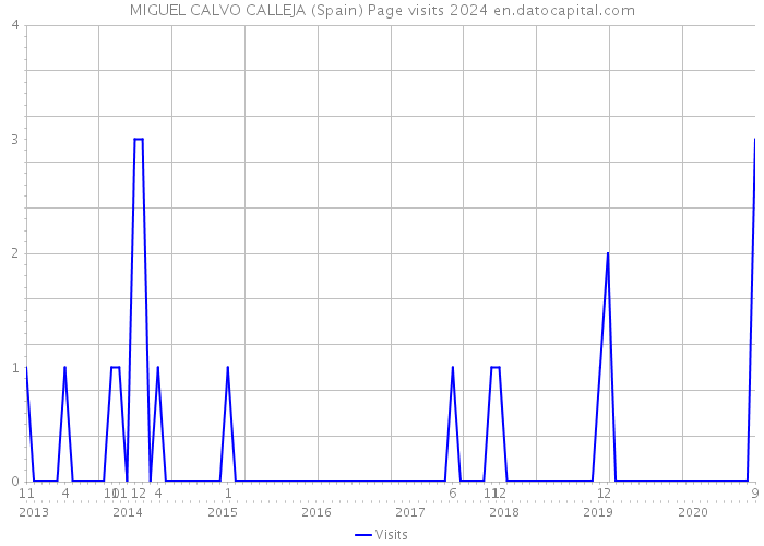 MIGUEL CALVO CALLEJA (Spain) Page visits 2024 