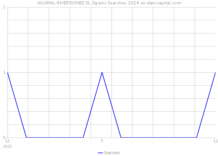 AKUMAL INVERSIONES SL (Spain) Searches 2024 