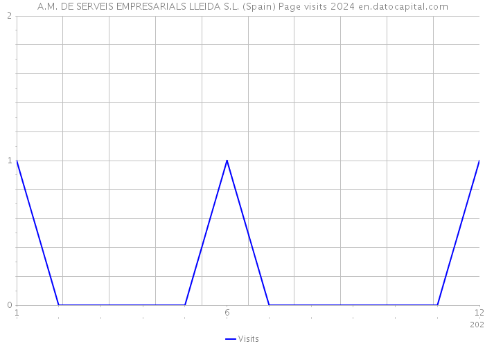 A.M. DE SERVEIS EMPRESARIALS LLEIDA S.L. (Spain) Page visits 2024 