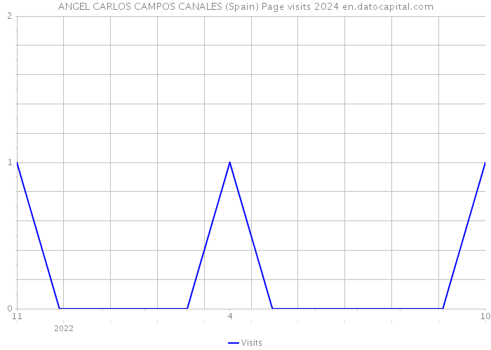 ANGEL CARLOS CAMPOS CANALES (Spain) Page visits 2024 