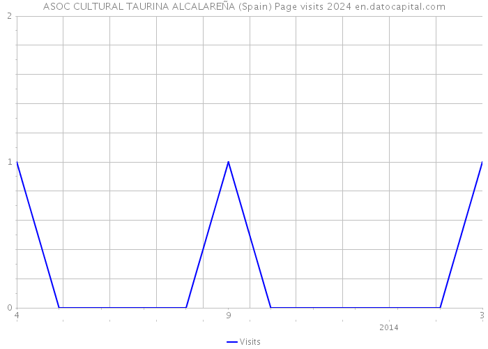 ASOC CULTURAL TAURINA ALCALAREÑA (Spain) Page visits 2024 