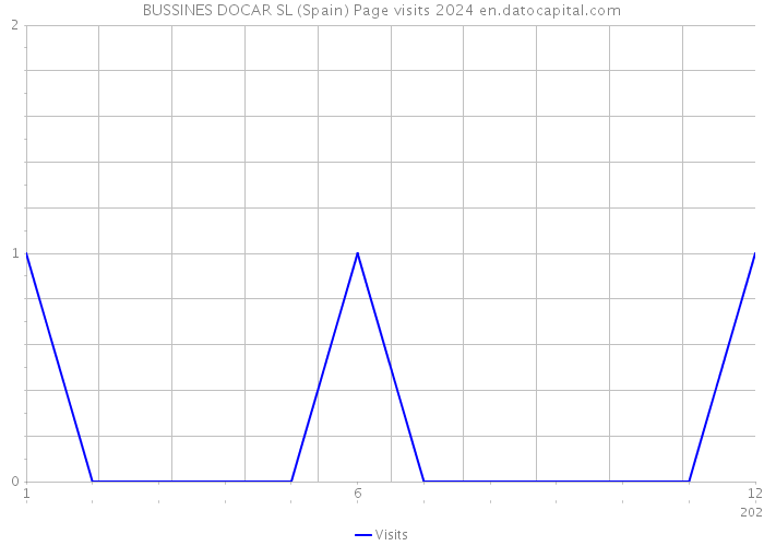 BUSSINES DOCAR SL (Spain) Page visits 2024 