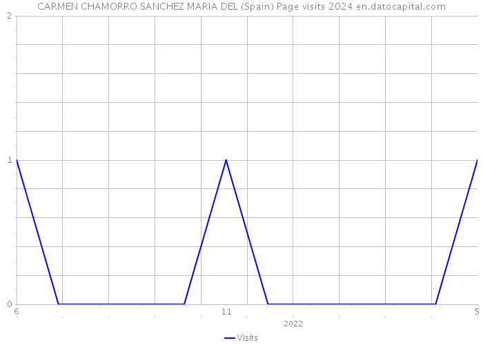 CARMEN CHAMORRO SANCHEZ MARIA DEL (Spain) Page visits 2024 