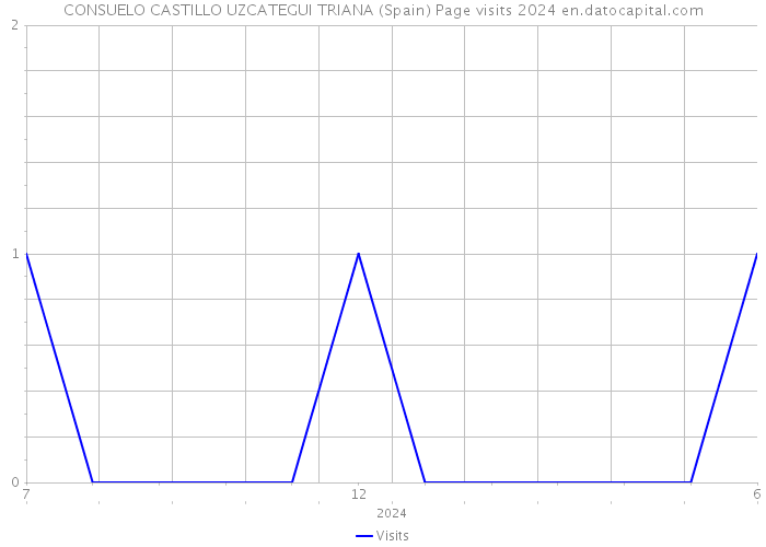 CONSUELO CASTILLO UZCATEGUI TRIANA (Spain) Page visits 2024 