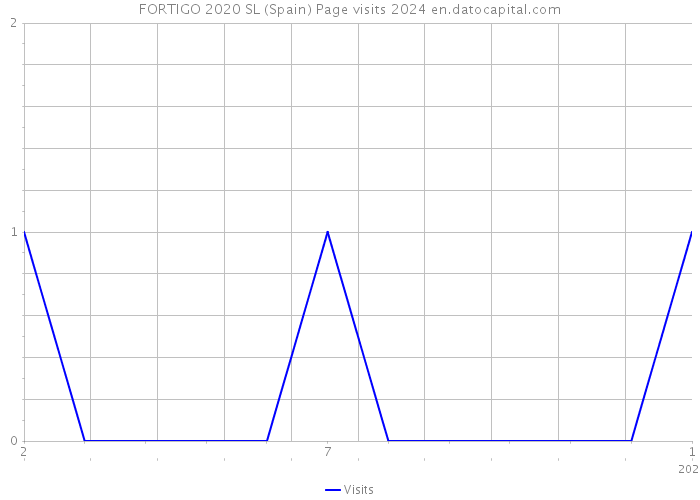 FORTIGO 2020 SL (Spain) Page visits 2024 