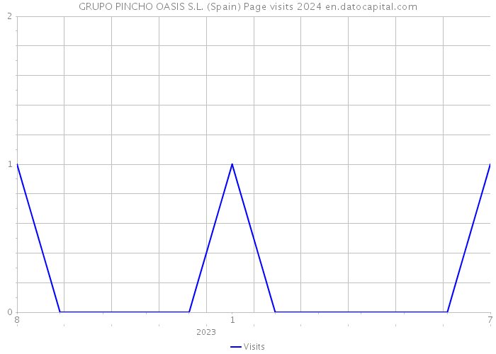 GRUPO PINCHO OASIS S.L. (Spain) Page visits 2024 