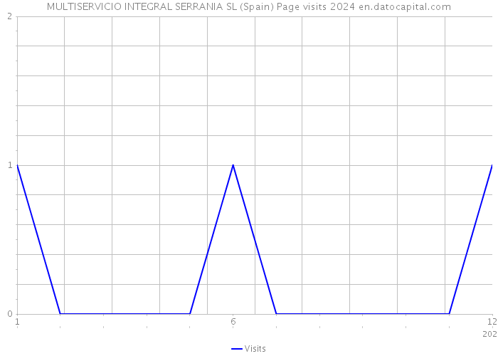 MULTISERVICIO INTEGRAL SERRANIA SL (Spain) Page visits 2024 