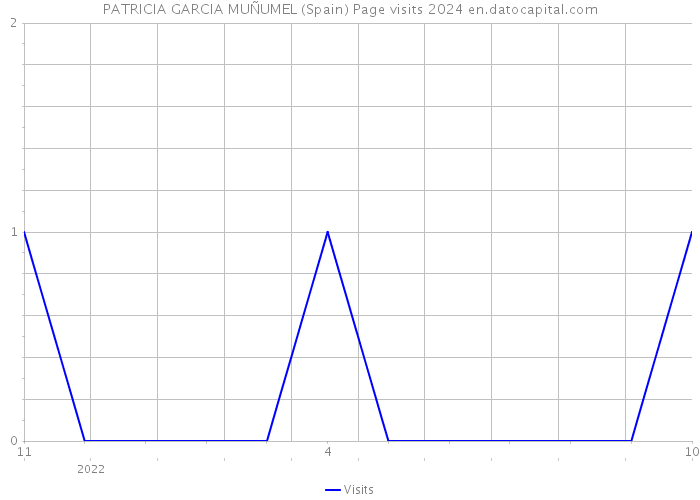 PATRICIA GARCIA MUÑUMEL (Spain) Page visits 2024 