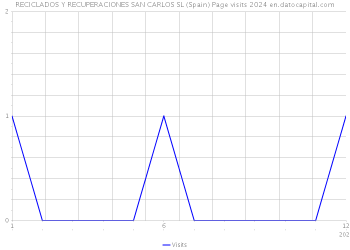 RECICLADOS Y RECUPERACIONES SAN CARLOS SL (Spain) Page visits 2024 