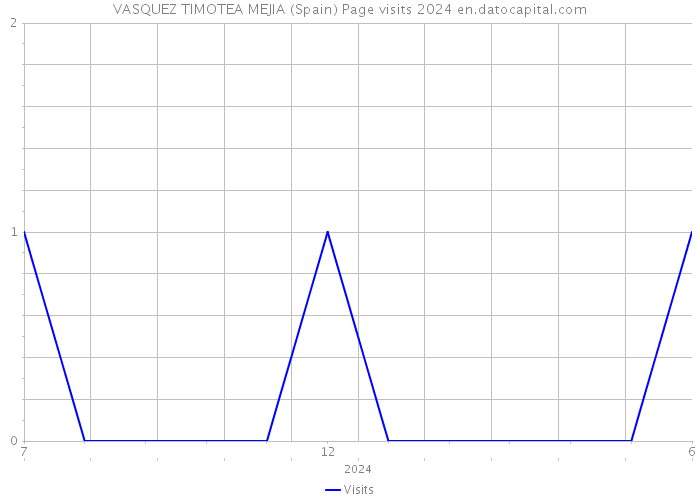 VASQUEZ TIMOTEA MEJIA (Spain) Page visits 2024 