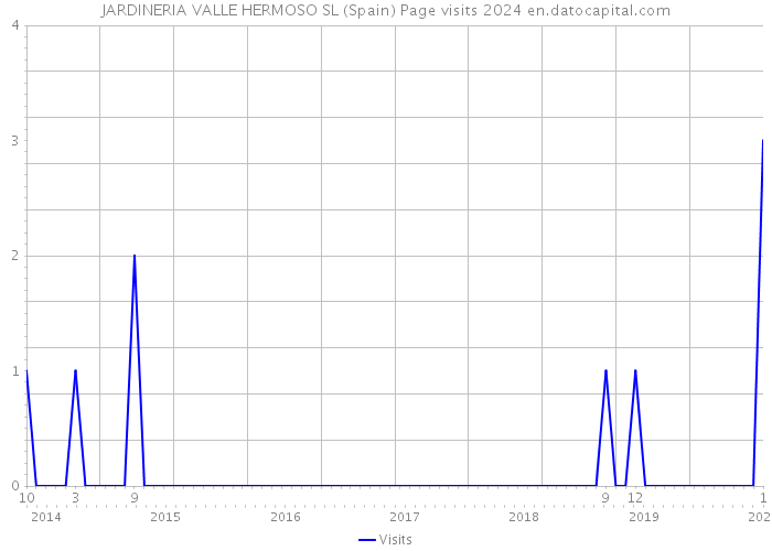JARDINERIA VALLE HERMOSO SL (Spain) Page visits 2024 