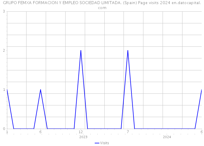 GRUPO FEMXA FORMACION Y EMPLEO SOCIEDAD LIMITADA. (Spain) Page visits 2024 