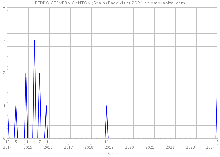 PEDRO CERVERA CANTON (Spain) Page visits 2024 
