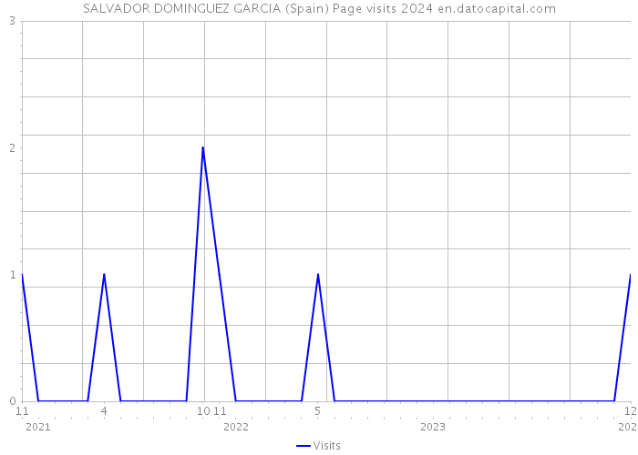 SALVADOR DOMINGUEZ GARCIA (Spain) Page visits 2024 