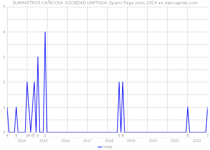 SUMINISTROS CAÑICOSA SOCIEDAD LIMITADA (Spain) Page visits 2024 