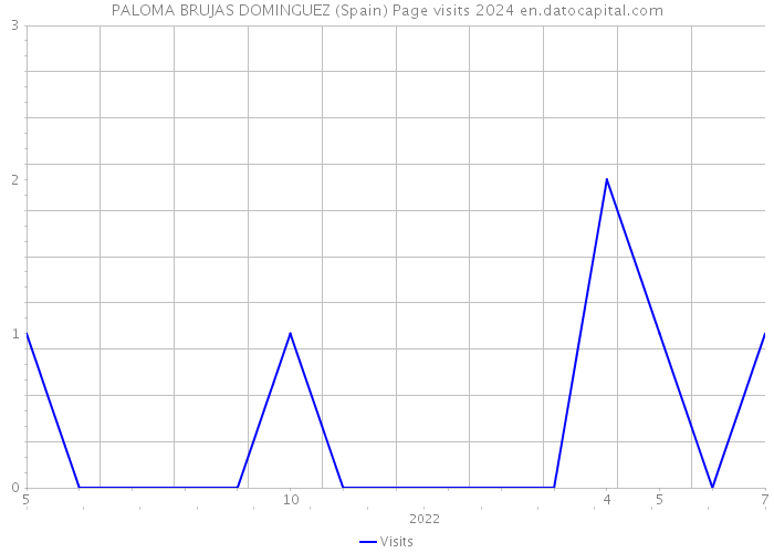PALOMA BRUJAS DOMINGUEZ (Spain) Page visits 2024 