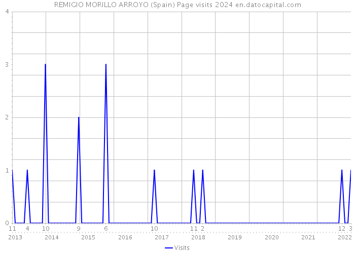 REMIGIO MORILLO ARROYO (Spain) Page visits 2024 