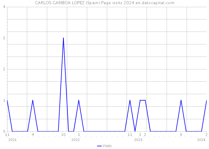 CARLOS GAMBOA LOPEZ (Spain) Page visits 2024 
