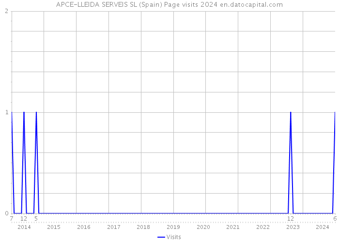 APCE-LLEIDA SERVEIS SL (Spain) Page visits 2024 