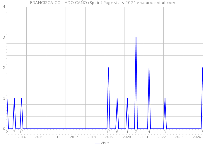 FRANCISCA COLLADO CAÑO (Spain) Page visits 2024 